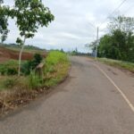 JL BIMA